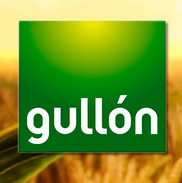 GALLETAS GULLON
